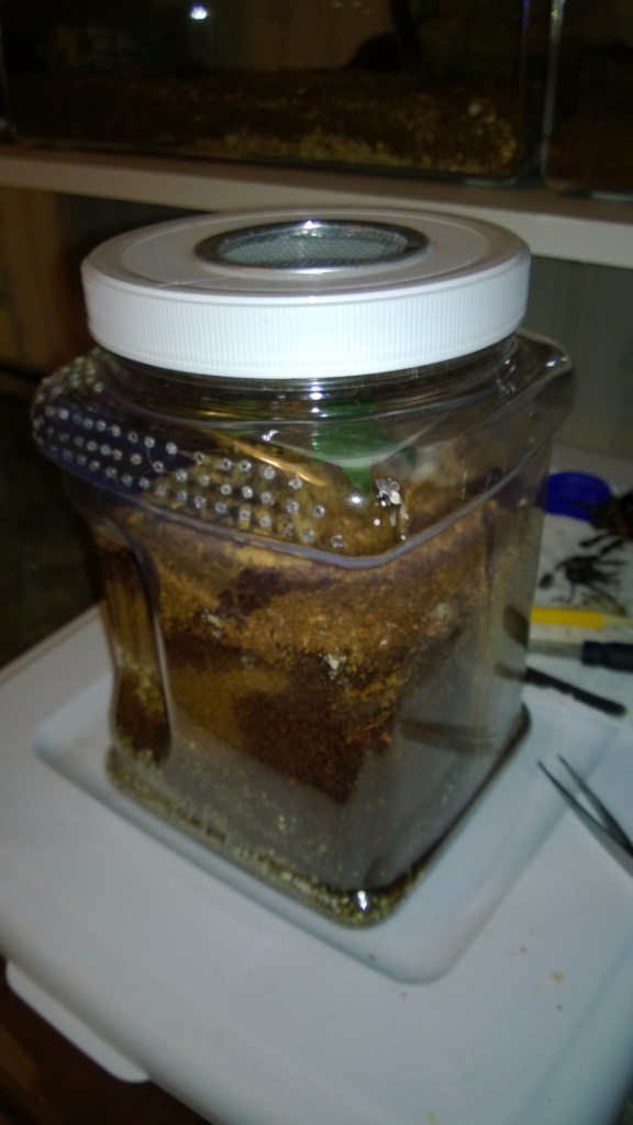 Plastic canister modified with lid vent and side ventilation holes.