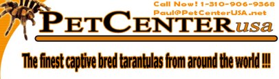 Dealer Pet Center Us