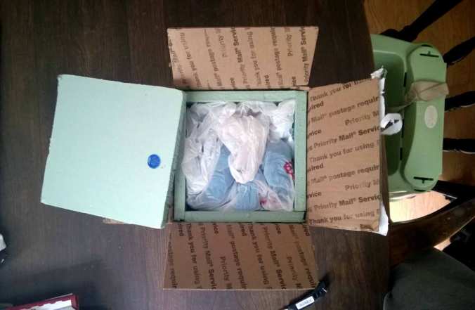 Packing from Autumn's Eight-Legged Experience.  The box is foam-lined and the slings are cushioned by bags.