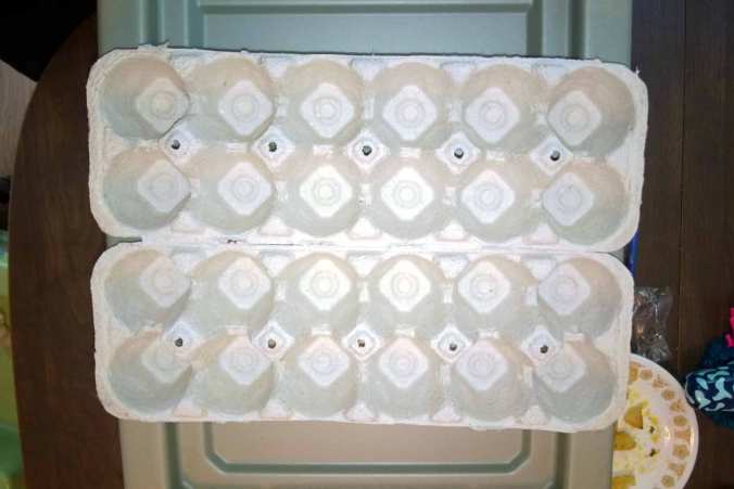 Put these inside your enclosure for the roaches to climb on and hide in.