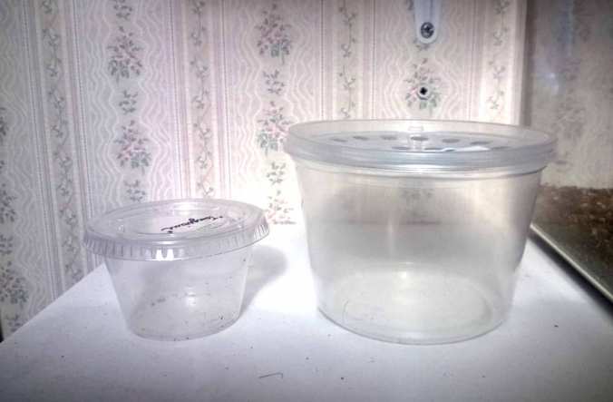 A couple simple deli cups. 