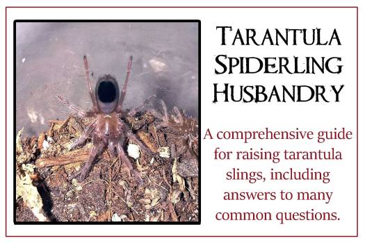 Tarantulas-slings-button