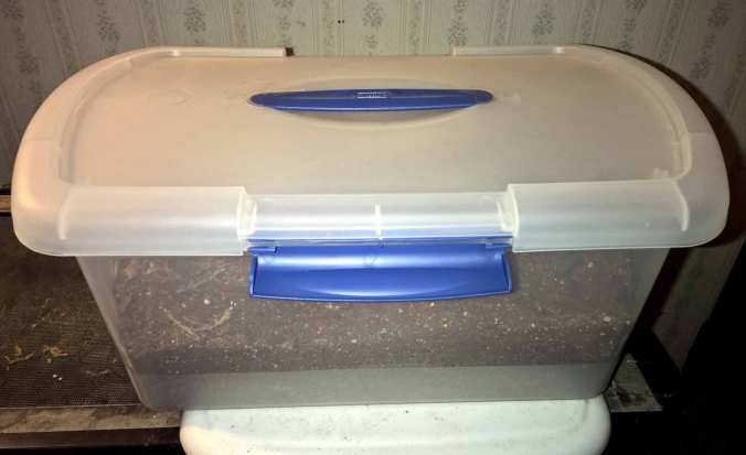 My juvenile G. iheringi enclosure made from a re-purposed Sterilite container.