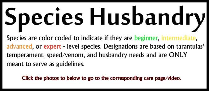 HUSBANDRY-NEW