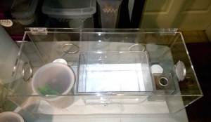 An example of a sling nursery.